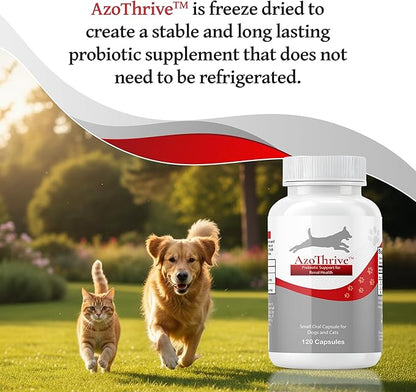 AZOTHRIVE - Kidney Probiotic Support Supplement for Cats and Dogs - 18 Billion CFU - Manage Renal Toxins - CKD - Made in USA - No Refrigeration Needed - 120ct Easy to Swallow Small Oral Capsules