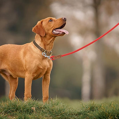 Mile High Life Leather Dog Leash, Heavy Duty Strong Genuine Leather Handle Rope Leash Soft and Comfortable for Small Medium Large Dogs (Red, 60 Inch)