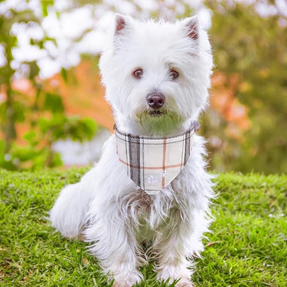 EXPAWLORER Puppy Collar and Leash - Embroidery Pawprints Plaid Small Dog Collars and Leash Set, Cute Bandana and Detachable Collar, Suitable for Small Dogs Cats Girl Boy, Cream S