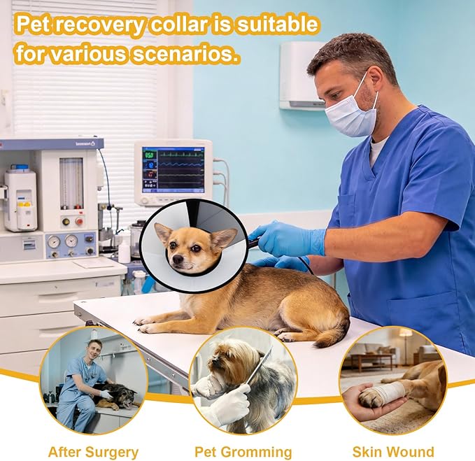 Plastic Dog Recovery Cone Collar, Soft Comfortable Breathable Post-Surgery Pet Cone, Escape-Proof & Easy Clean, Prevents Licking Wounds, Waterproof & Adjustable M (Neck 12.2"-14.9")