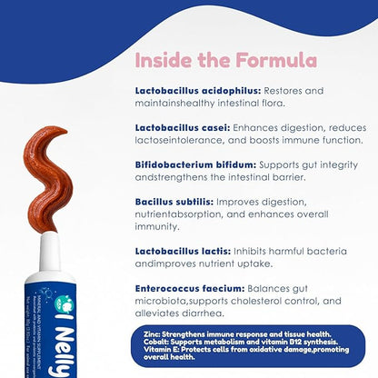 Ruminant Probiotic Paste for Cattle & Goats | Prebiotic + Probiotic | 6 Strains, 8B CFU | Digestive, Rumen & Immune Support - Pack of 2-80G Each
