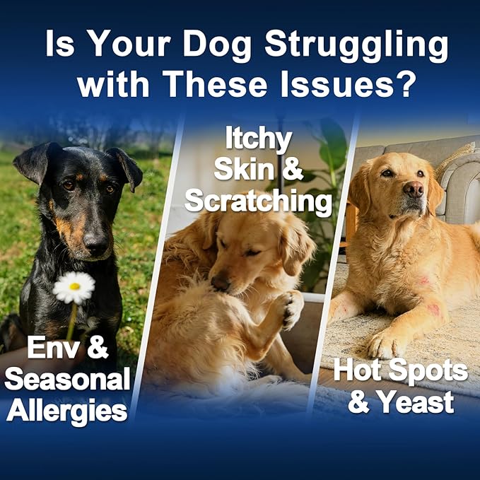 Dog Allergy Chews,is Omega 3 Human,Anti Itch Relief for Dogs Itching Skin Relief and Aller Immune Pet Multivitamin Allergy Chews Coat Licking Supplement Pills Meds Treats 250 Bites for Dogs