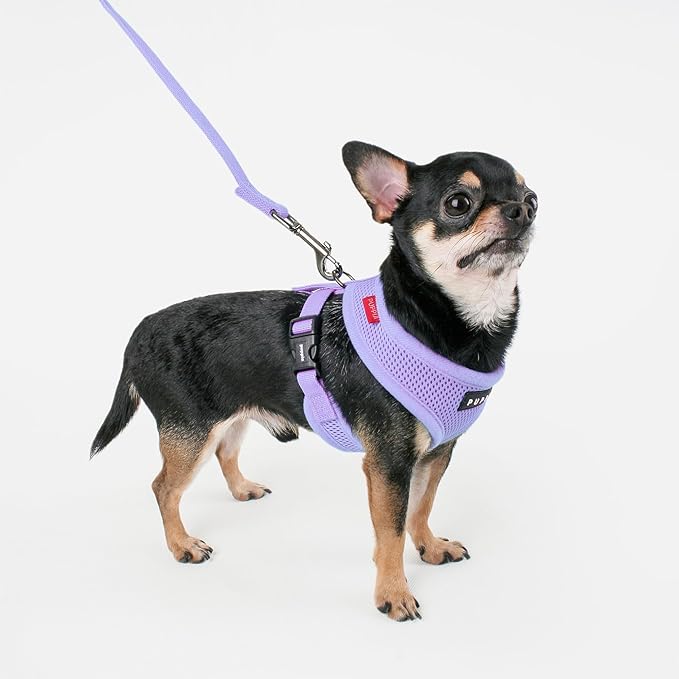 Puppia Soft Dog Harness No Choke Over-The-Head Triple Layered Breathable Mesh Adjustable Chest Belt and Quick-Release Buckle, Violet, Medium (Pack of 2)