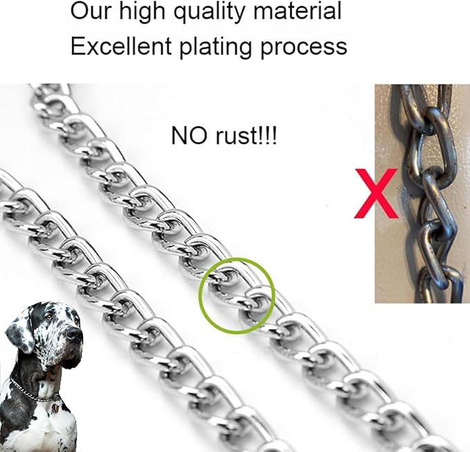 Dog Choke Collar Slip P Chain,Heavy Duty Metal Training Choker Martingale Collars, Adjustable Weather Proof Alloy Steel Chains for Small Medium Large Dogs(Silver,XL)