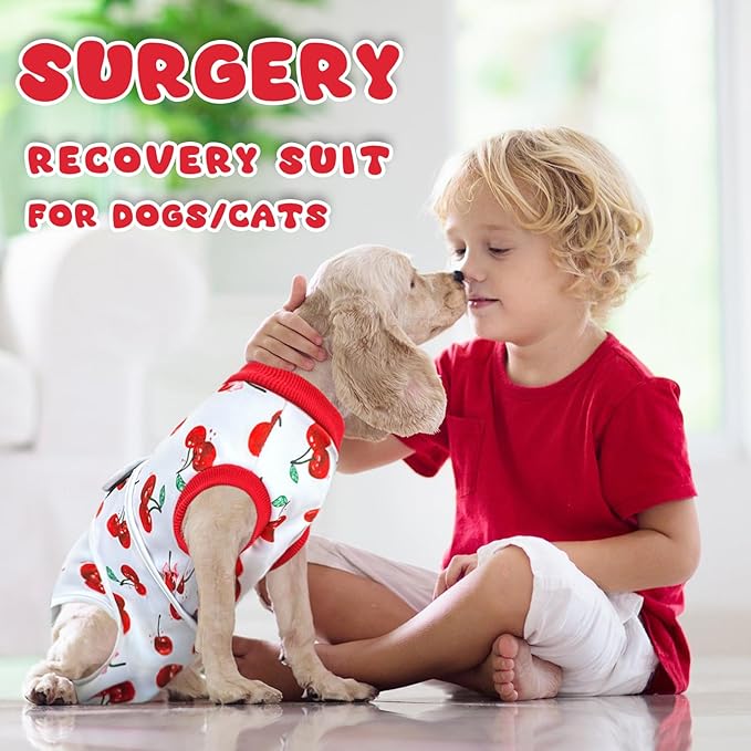 Dog Surgery Recovery Suit, Abdominal Surgical Suit for Male Female Dog Post Spay Neuter, Breathable Pet Onesie E-Collar & Cone Alternative, Surgery Shirt to Prevent Licking, X-Small