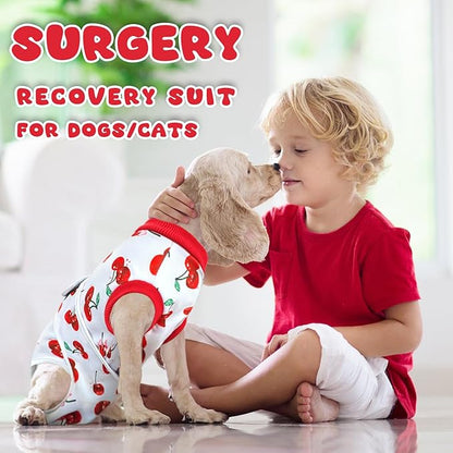 Dog Surgery Recovery Suit, Abdominal Surgical Suit for Male Female Dog Post Spay Neuter, Breathable Pet Onesie E-Collar & Cone Alternative, Surgery Shirt to Prevent Licking, Small