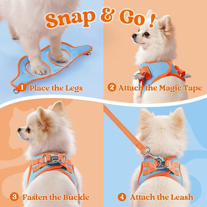 rabbitgoo Dog Harness Small Sized and Leash Set, Step-in Breathable Pet Harness, Soft Walking Reflective Puppy Vest for Small Dogs, Light Blue & Orange, XS