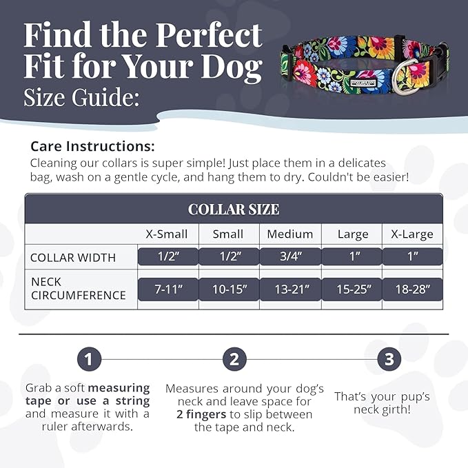 Lucky Love Dog - Easy Click Buckle Dog Collar with Leash Set Combo, Durable & Comfortable for Male & Female Dogs, Pet Collar for Small Dogs, Secure Fit - Lilian Combo, Small