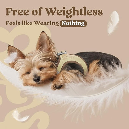 rabbitgoo Small Dog Harness, Step-in Soft Mesh Puppy Vest with Safety Buckle, Breathable Reflective Pet Harness for Small Sized Dogs, Brown & Beige XS