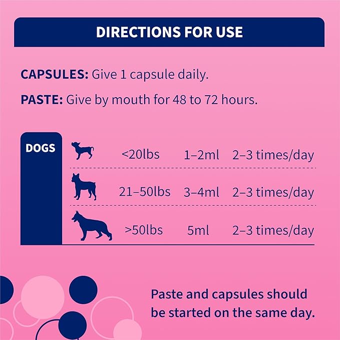 Nutramax Proviable Probiotics for Dogs, Diarrhea Support Kit, Digestive Health Supplement with Multiple Strains of Bacteria, Plus Prebiotics, Kaolin and Pectin, 30 ml Paste and 10 Capsules