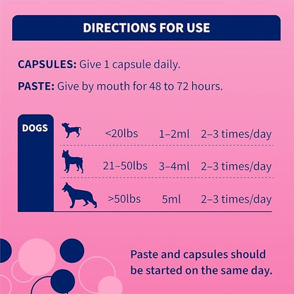 Nutramax Proviable Probiotics for Dogs, Diarrhea Support Kit, Digestive Health Supplement with Multiple Strains of Bacteria, Plus Prebiotics, Kaolin and Pectin, 30 ml Paste and 10 Capsules