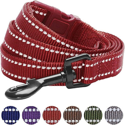 Blueberry Pet Essentials Durable 3M Reflective Classic Dog Leash 4 ft x 1", Marsala Red, Large, Leashes for Dogs
