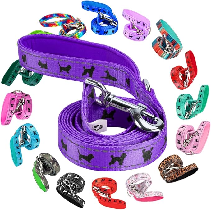 EcoBark Dog Leash - Soft & Reflective Comfort Leashes with Padded Handle - Safe, Strong, & Durable for Small, Medium or Large Dogs (Purple)