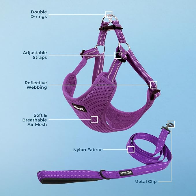 Best Pet Supplies Voyager Adjustable Step-in Flex Breathable Mesh Dog Harness for Small Medium Large Dogs Leash Set (Purple), L