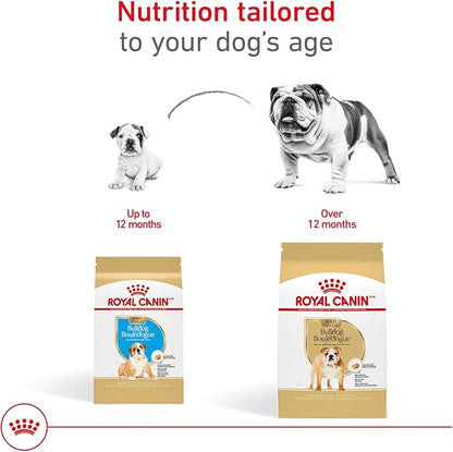 Royal Canin Breed Health Nutrition Bulldog Puppy Dry Dog Food, 6 lb Bag