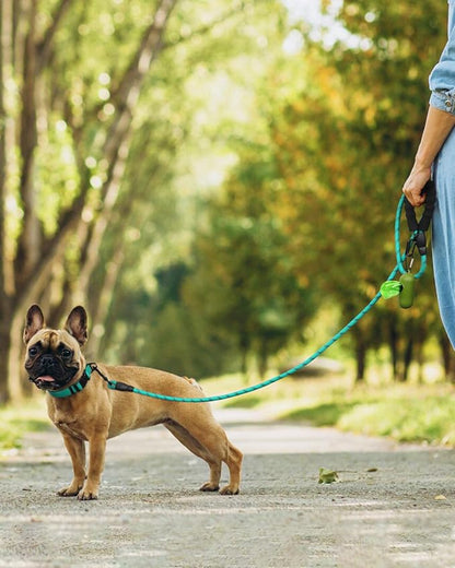 Dynmeow Reflective Dog Collar and Leash Set, 6FT Strong Climbing Rope Leash with Padded Handle, Adjustable Pet Collar with Soft Neoprene Padding for Small Medium Dogs, Teal, S