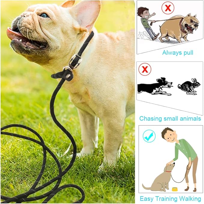 BTINESFUL 10FT / 15FT / 20FT Slip Lead Dog Leash, Reflective 1/3” Rope Leash Long Training Lead for Small Medium Dogs