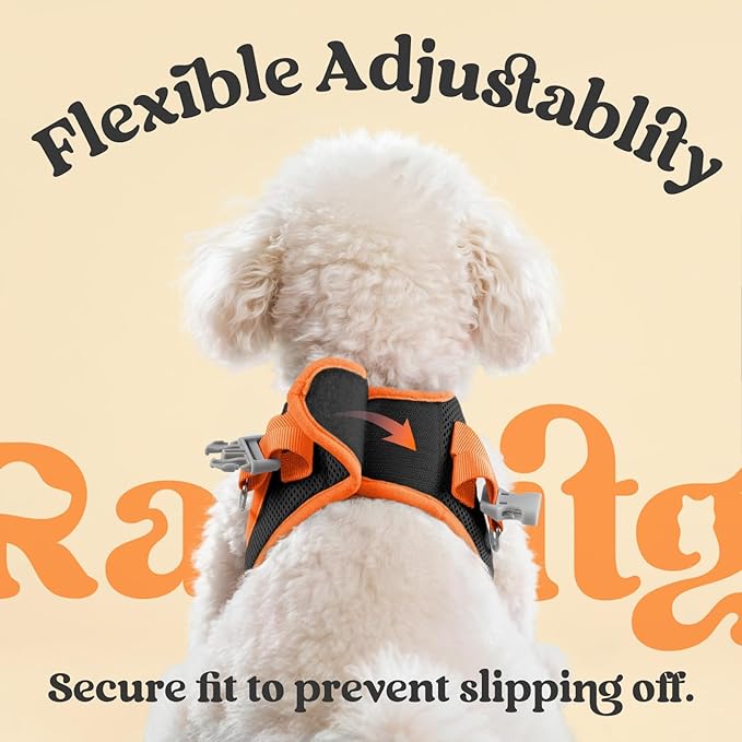 rabbitgoo Dog Harness Small Sized and Leash Set, Step-in Breathable Pet Harness, Soft Walking Reflective Puppy Vest for Small Dogs, Black & Orange, L