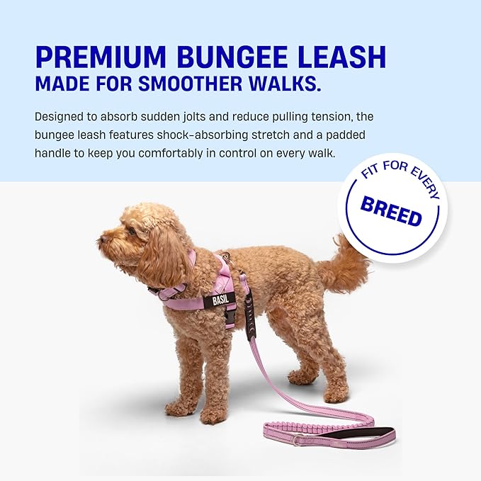 Dog Friendly Co. Bungee Dog Leash | Strain Free & Shock Resistant for Control | Neoprene Padded Handle, Heavy-Duty Carabiner Clip, and D-Ring | Green Camo, Size Regular