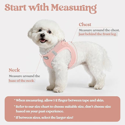 rabbitgoo Dog Harness Small Medium Sized and Leash Set, Step in Soft Light Puppy Vest, Breathable Mesh Pet Harness, Reflective for Safe Outdoor Walking, Pink L