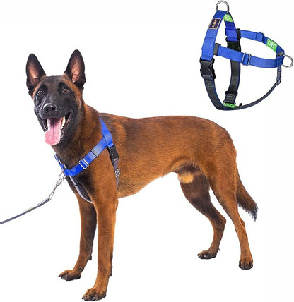 Freedom No Pull Dog Harness, Easy Walk with Two Stainless D-Rings, Front Clip, Comfortable, Sewn-in Instructions Tags for Easy Use, for Large Dogs Weight 60-80 lbs (Blue, L)