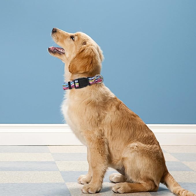 Reflective Dog Collar, Adjustable Soft Neoprene Padded Nylon Pet Collars with Buckle for Puppy and Small Dogs, Cats, Colorful Wave Pattern,S