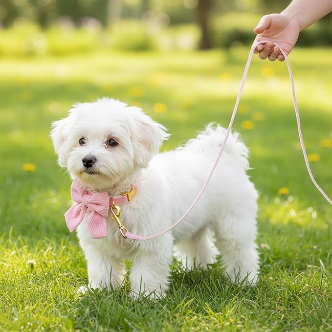 2pcs Dog Collar and Leash Set with Bowtie Cute Small Dog Collar Harness Leash Set Adjustable Breathable Soft Padded for Small Medium Puppy Dogs Metal Buckle Pink S