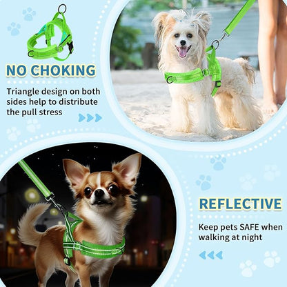 SlowTon No Pull Small Dog Harness and Leash Set, Puppy Soft Vest Harness Neck & Chest Adjustable, Reflective Lightweight Harness & Anti-Twist Pet Lead Combo for Small Medium Dogs (Green-Front Clip,XS)