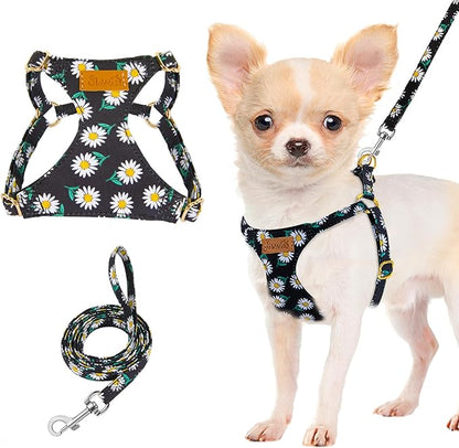 Lukovee Puppy Harness and Leash Set, No Pull Lightweight Soft Suede Adjustable Pet Harness Vest with Snap Buckle for Puppy Small and Medium Size Dog (Black-XXS)