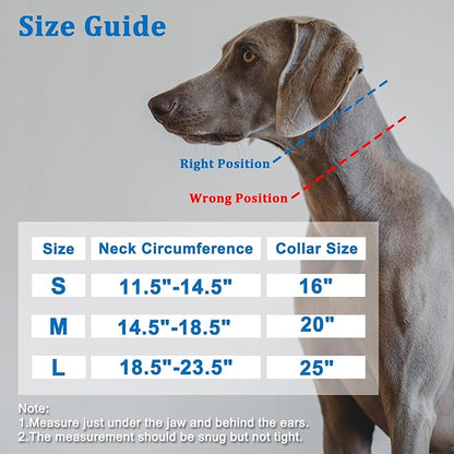 Mayerzon Martingale Collar for Dogs, No Pull Dog Collar with Reflective Strip for Small Medium Large Dogs, Anti Pulling Dog Collar with Buckle for Walking Training, Safe for Night Walk(Black, M)