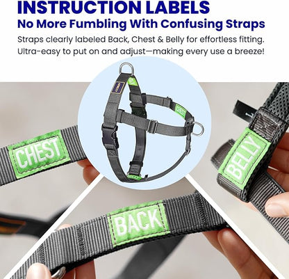 No Pull Dog Harness Freedom Walking, Easy Walk with Front and Back Stainless D-Rings, Sewn-in Instructions Tags for Easy Use, for Medium/Large Dogs Weight 40-60 lbs (Black, Med/Large)
