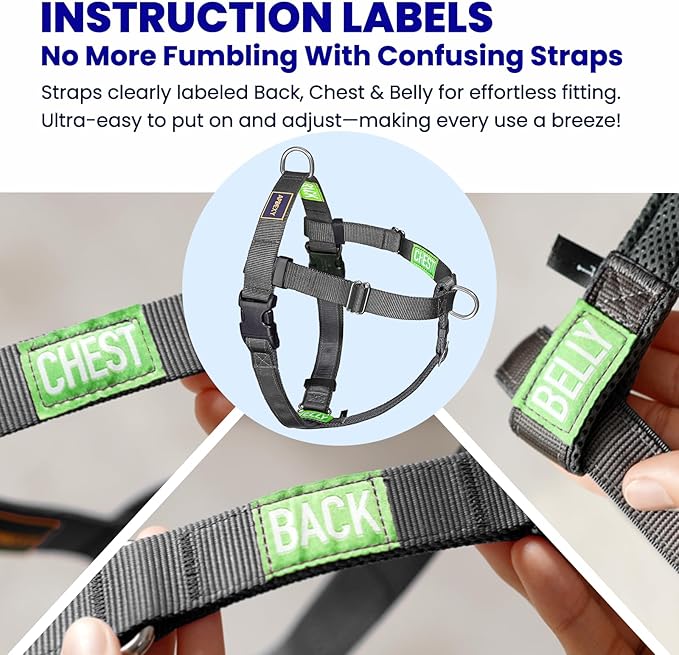 Freedom No Pull Dog Harness, Easy Walker, Stop Pulling with Two Stainless D-Rings, Comfortable, Sewn-in Instructions Tags for Easy Use, for Small Dogs Weight 20-30 lbs (Black, Small)