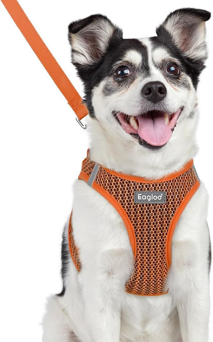 Eagloo Small Dog Harness and Leash Set, Step in Puppy Vest with Breathable Soft Mesh, Walking Reflective Pet Harness for Small Dogs, Orange, L