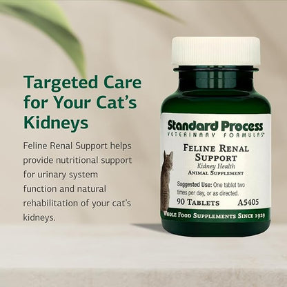 Standard Process Inc. Feline Renal Support - Cat Supplement to Maintain Kidney & Urinary Health, Cat Supplies with Whole-Food Based Ingredients, Feline Supplement to Aid Renal Function - 90 Tablets