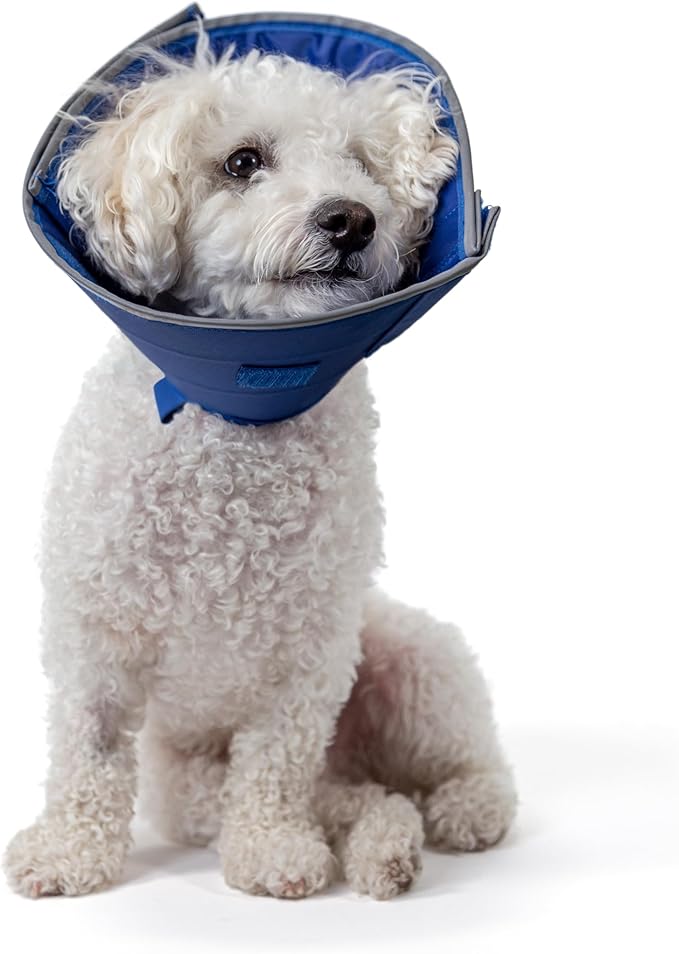 Calm Paws Dog Caring Collar W/Calming (XSmall)