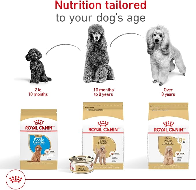 Royal Canin Breed Health Nutrition Poodle Puppy Dry Dog Food, 2.5 lb Bag