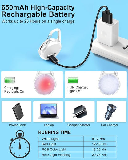 2 Pack Dog Collar Light, 4 Modes Clip On Dog Lights for Night Walking, Glow in the Dark LED Pet Collar Charm, Rechargeable Pet Camping Essentials for Nighttime Running, Cycling, Hiking(White)