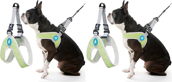 Gooby Simple Step in III Harness - Green, X-Small - Small Dog Harness with Scratch Resistant Outer Vest - Soft Inner Mesh Harness for Small, Medium Dogs (Pack of 2)