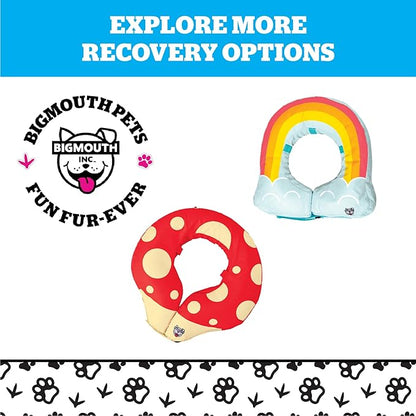 Frog Inflatable Recovery Collar, Comfortable Cone Replacement for Pet Surgery, Protective Collars to Prevent Licking & Biting, Size Small