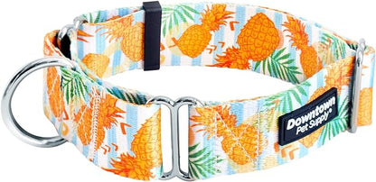 Downtown Pet Supply - Martingale Collar for Dogs - Dog Training Collar - Big, Wide & Thick Dog Collar - Escape-Proof, Weatherproof, Durable and Comfortable - Pineapple - Medium Dog Collar