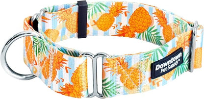 Downtown Pet Supply - Martingale Collar for Dogs - Dog Training Collar - Big, Wide & Thick Dog Collar - Escape-Proof, Weatherproof, Durable and Comfortable - Pineapple - Large Dog Collar