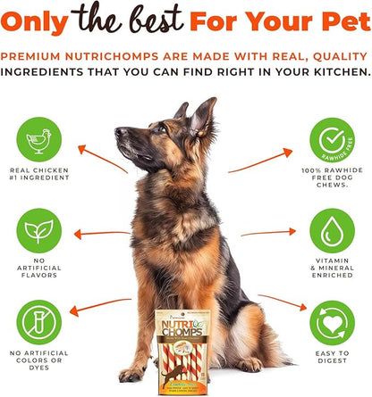NutriChomps Dog Chews 5-inch Twists, Easy to Digest, Rawhide-Free Dog Treats, Real Peanut Butter Flavor & Real Chicken Flavor (NT112V) - 10 Count (Pack of 2)