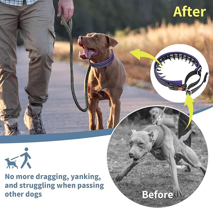 Mayerzon Martingale No Pull Collar for Medium Large Dogs, Patented Anti Pull Dog Collar with Buckle for Walking Training, with Neoprene Padding and Reflective Stitching, Adjustable(Purple Trim, L)