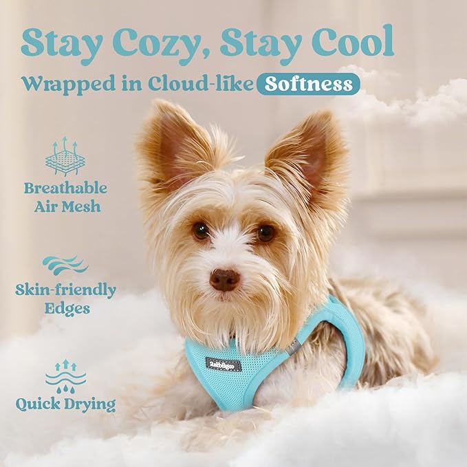 rabbitgoo Small Dog Harness, Step-in Soft Mesh Puppy Vest with Safety Buckle, Breathable Reflective Pet Harness for Extra Small Dogs, Mint Blue XXXS