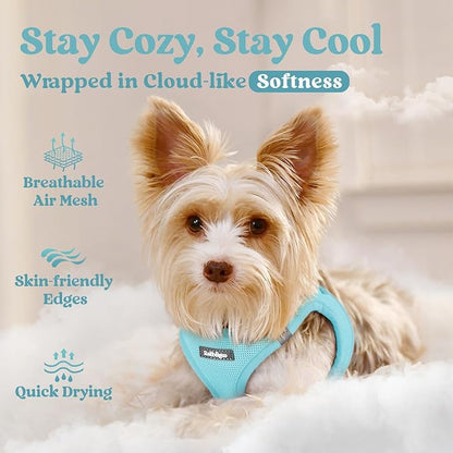 rabbitgoo Small Dog Harness, Step-in Soft Mesh Puppy Vest with Safety Buckle, Breathable Reflective Pet Harness for Extra Small Dogs, Mint Blue XXXS