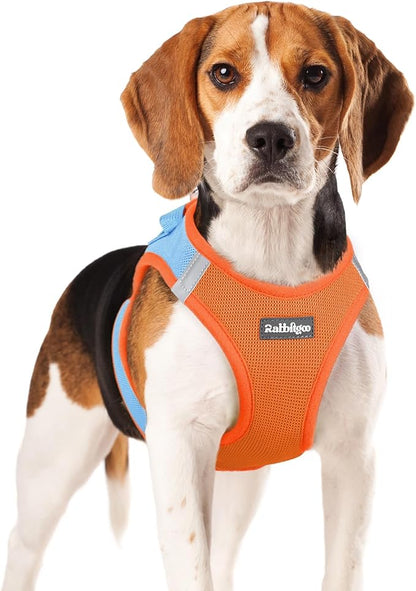 rabbitgoo Small Dog Harness, Step-in Soft Mesh Puppy Vest with Safety Buckle, Breathable Reflective Pet Harness for Small Medium Dogs, Blue & Orange XL