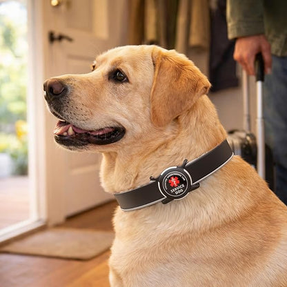 Dog AirTag Holder for Dog Collar, Soft Silicone Slide-On Case for Apple AirTag, No-Dangle Quiet Protective Holder with High-Contrast Message Designs