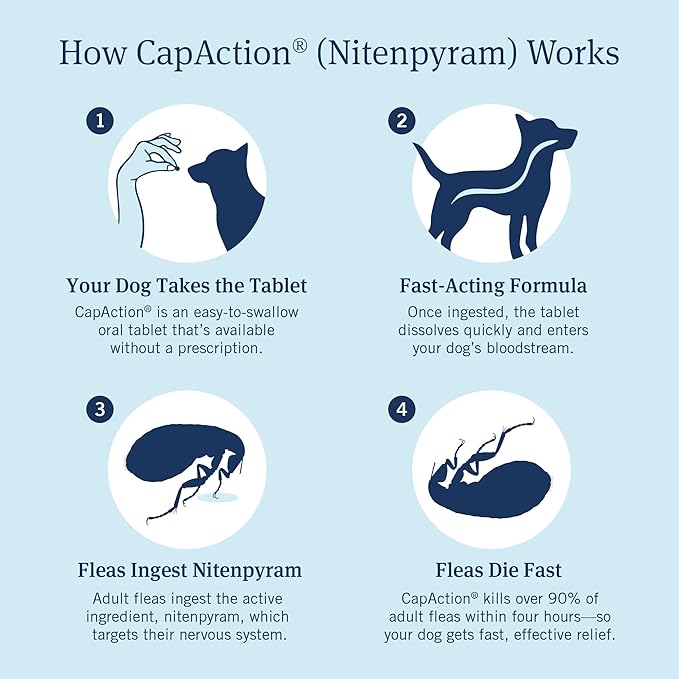 PetArmor CAPACTION (nitenpyram) Oral Flea Treatment for Dogs, Fast Acting Tablets Start Killing Fleas in 30 Minutes, Dogs Over 25 lbs, 6 Doses (Pack of 1) (Packaging May Vary)