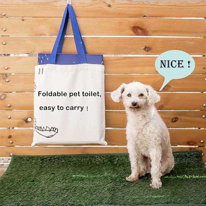 Dog Litter Box with High Walls,Pee Pad Holder Tray for Indoor Dog Potty,No Assembly,No Spill,Waterproof,Easy to Clean,Portable for Travel (Blue Star, M-36''Lx23.6''Wx16''H)