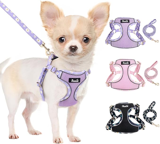 SlowTon Small Dog Harness - No Pull Dog Harness and Leash Set, Soft Mesh Lightweight Puppy Vest Harnesses, Adjustable Pet Harnesses for XXS XS Small Medium Easy Walk Hiking (Purple, XS)